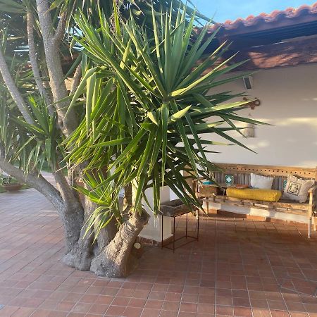 Dimorra Sun And Relax Villa Forio  Exterior photo
