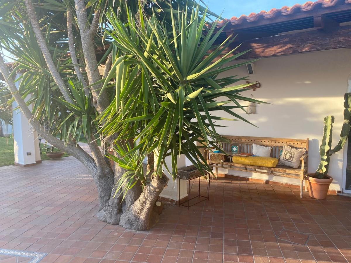 Dimorra Sun And Relax Villa Forio  Exterior photo
